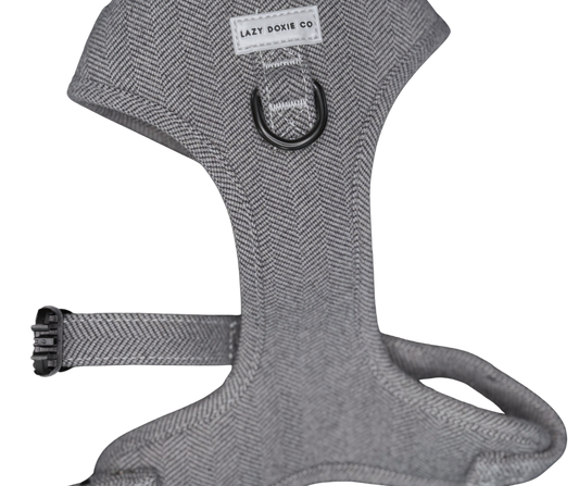 Snag + Go Bundle - Daxedo Noir