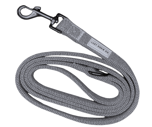 Printed Leashes - Lazy Doxie Co