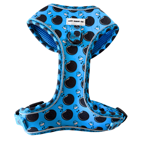 Snag + Go Bundle - Harness Bundle - Lazy Doxie Co