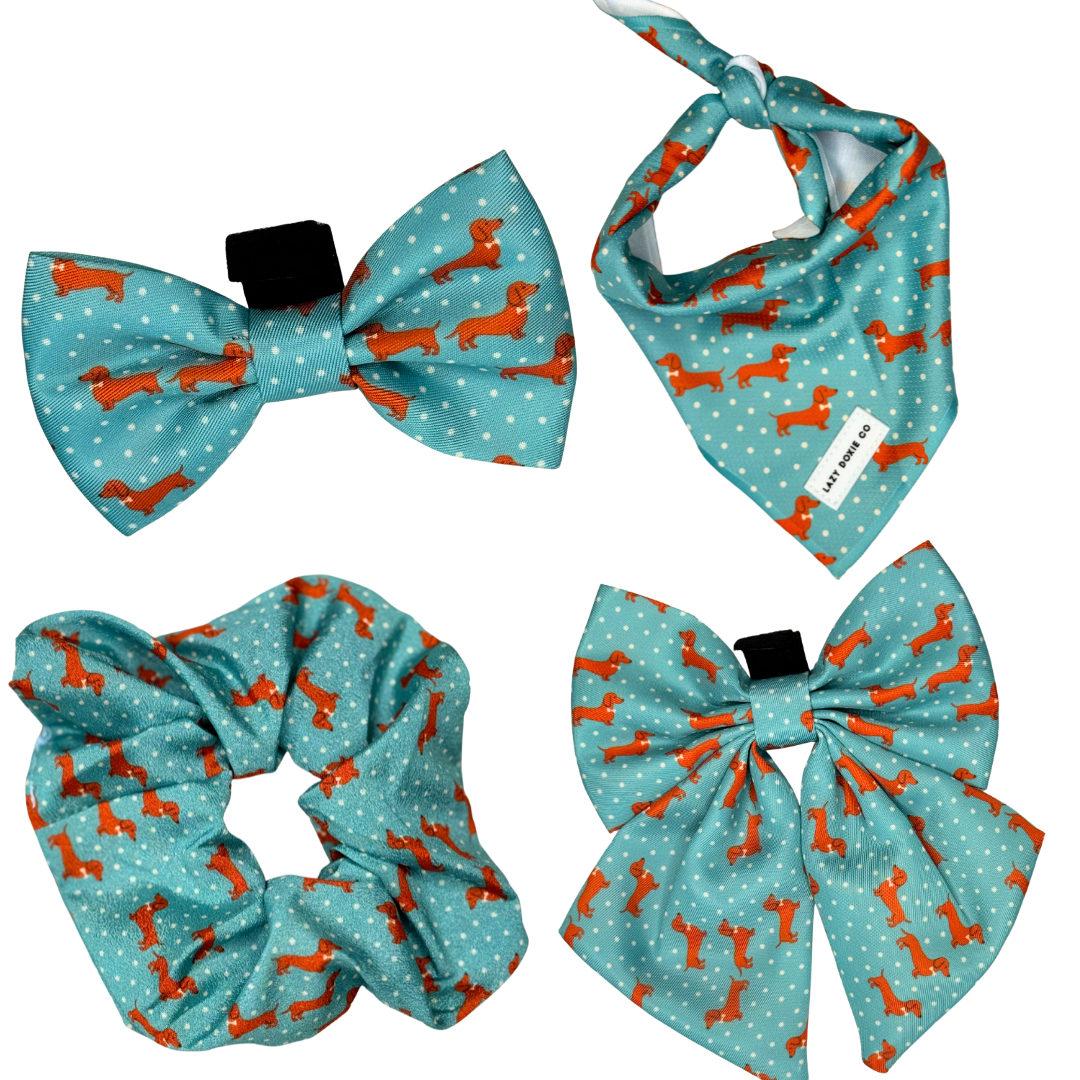 Dress to Drool Bundle - Tuxie Doxie - Lazy Doxie Co
