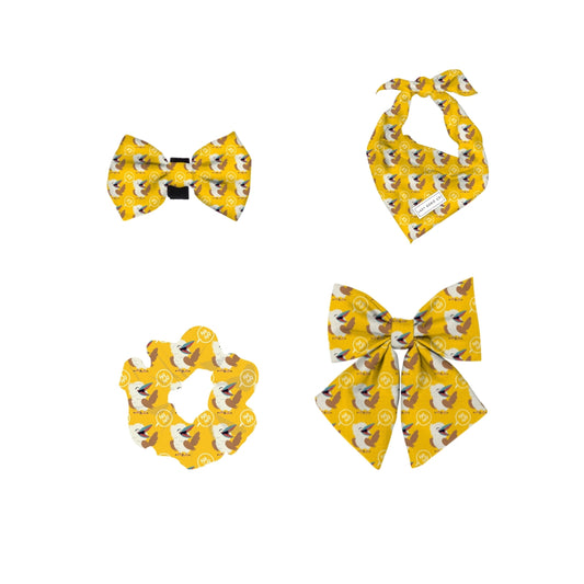 Dress to Drool Bundle - Snagaburra