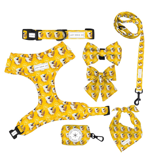 Daily Doxie Bundle - Snagaburra