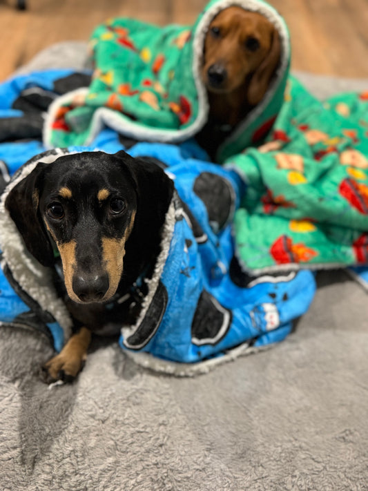 Blanket - Doxie Dunk - Lazy Doxie Co