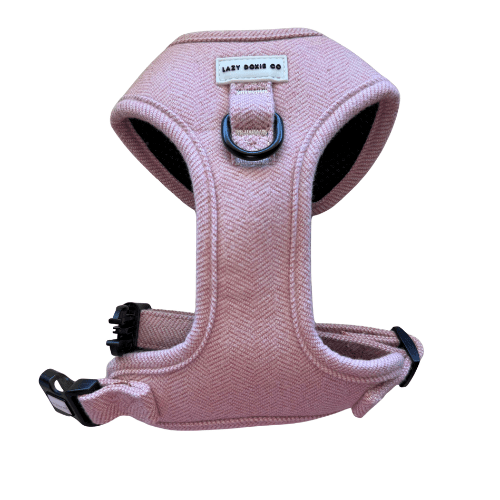 Snag + Go Bundle - Harness Bundle - Lazy Doxie Co