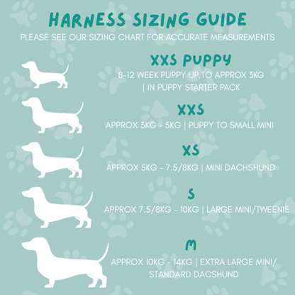 Dachshund Harness - 'Puppy Starter Harness Pack' - Lazy Doxie Co