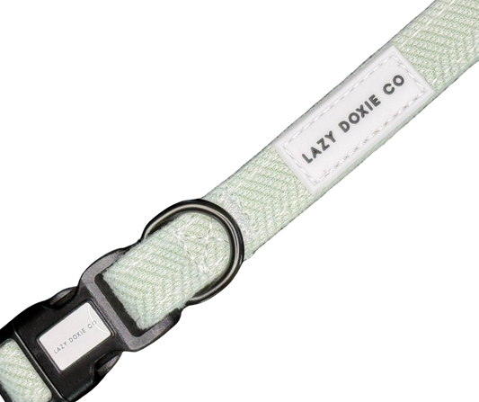 Collar - Hound de Sage