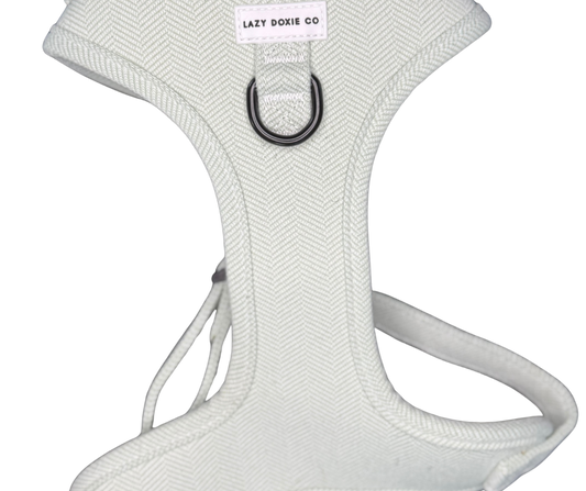 Daily Doxie Bundle - Hound De Sage