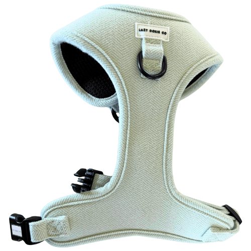 Snag + Go Bundle - Harness Bundle - Lazy Doxie Co