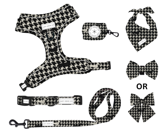 Daily Doxie Bundle - 'Houndstooth Hound'
