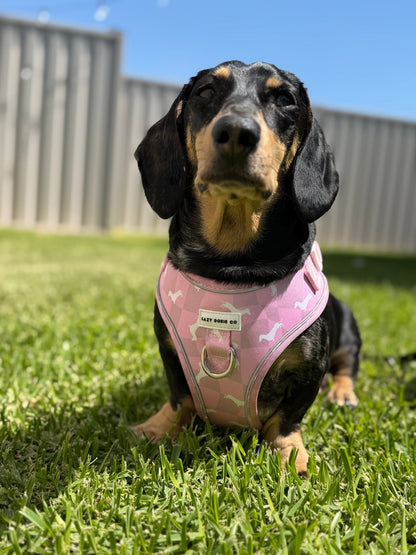 Dachshund Harness - Lazy Doxie Co