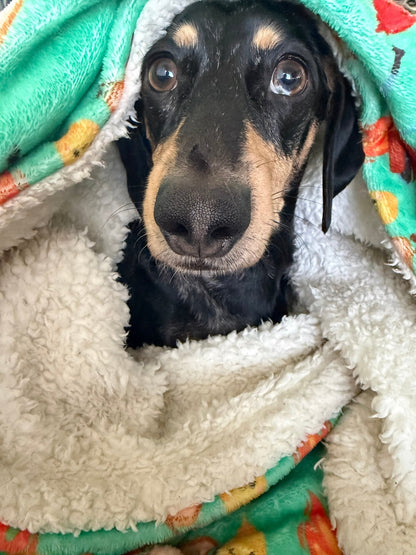 Fleece Blankets - Lazy Doxie Co