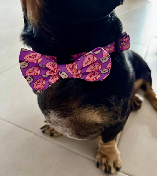 Bows - Dachuccino - Lazy Doxie Co