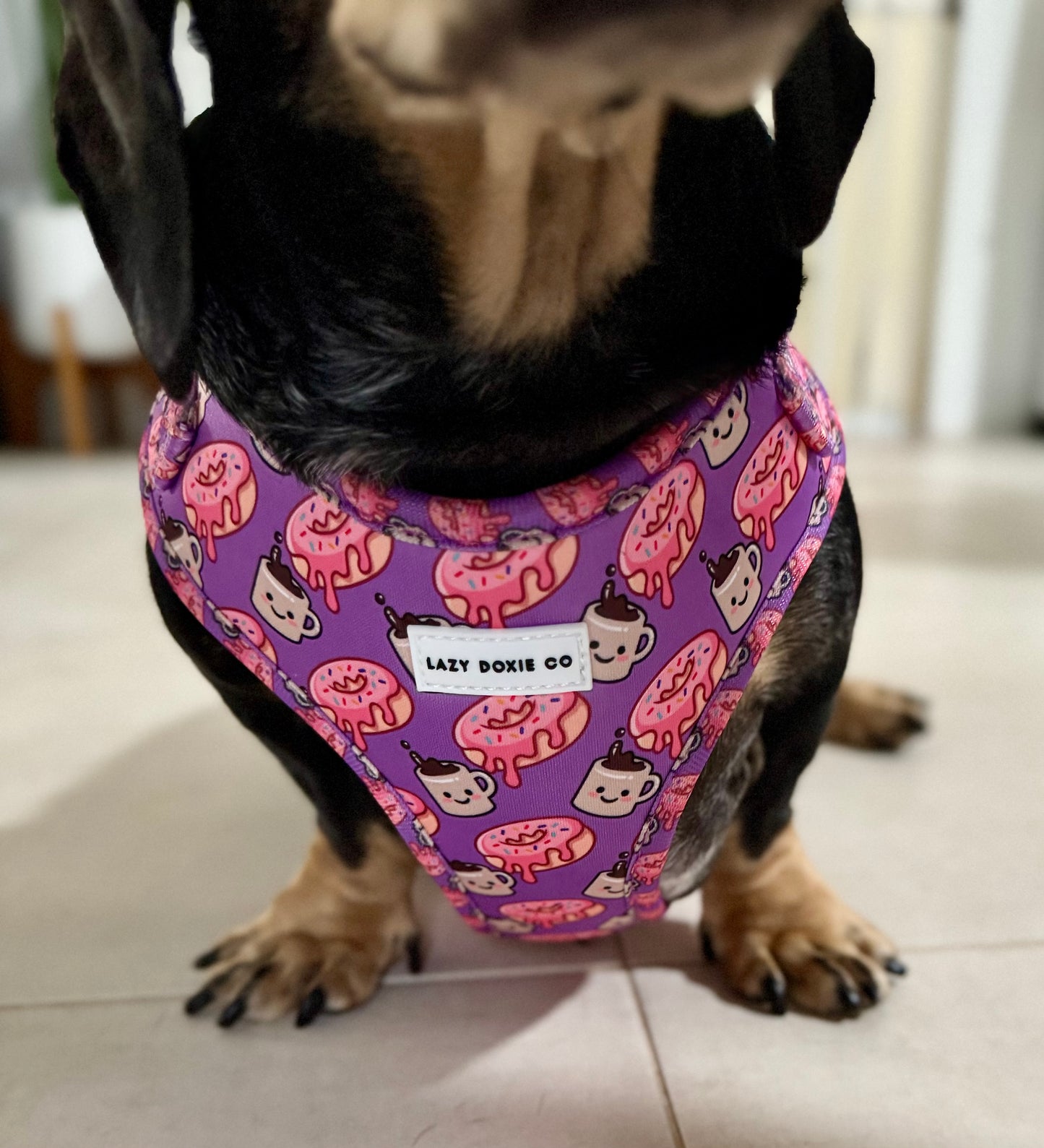 Daily Doxie Bundle - Dachuccino
