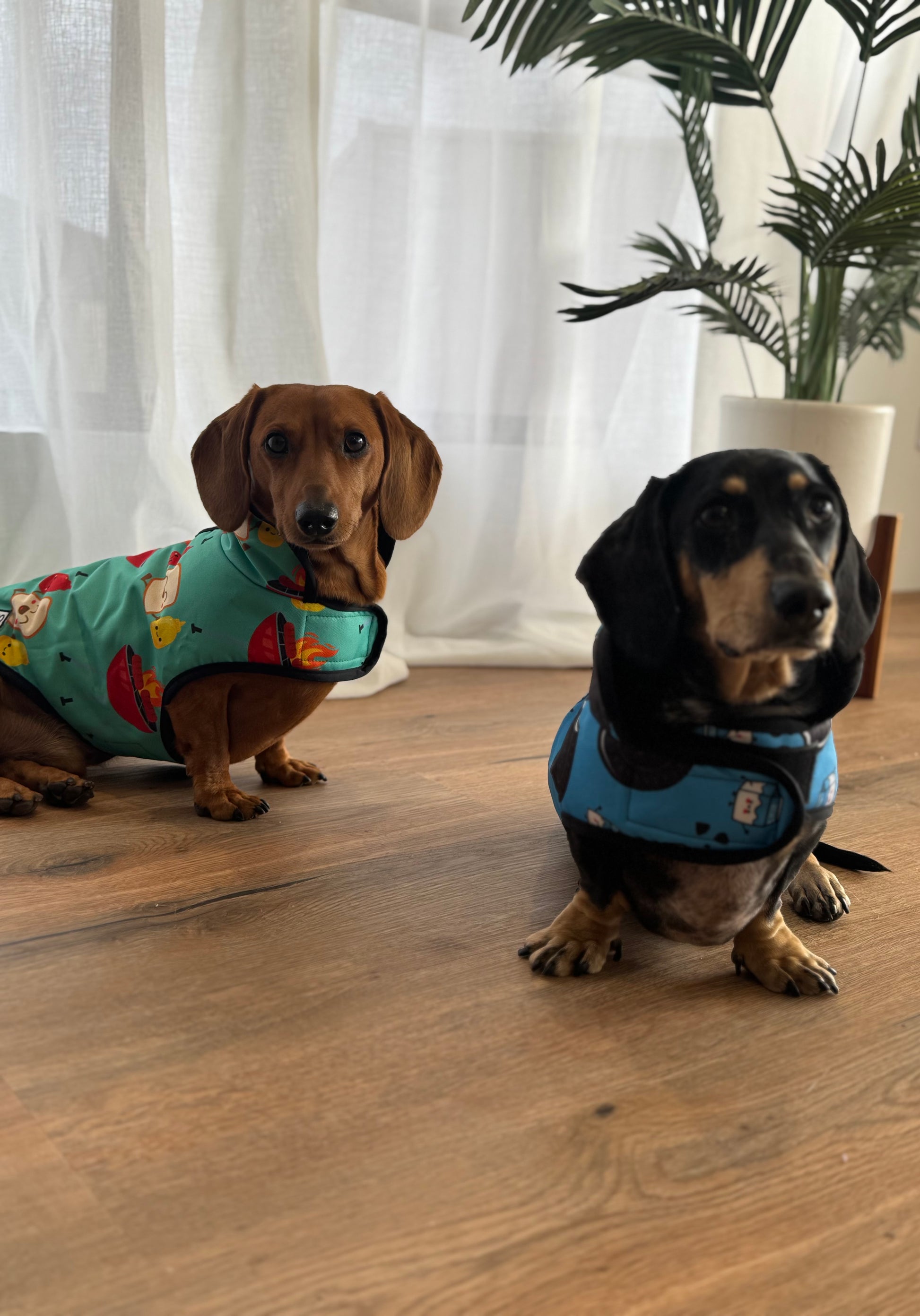 Waterproof Jackets - Saucy Snags - Lazy Doxie Co