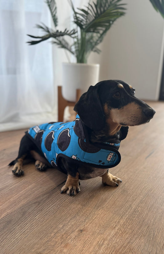 Waterproof Jackets - Doxie Dunk - Lazy Doxie Co