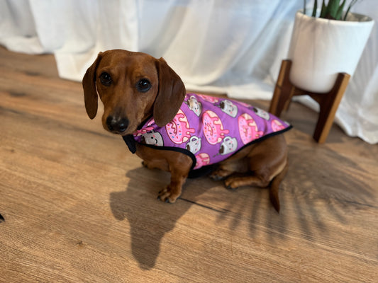 Waterproof Jacket - Dachuccino - Lazy Doxie Co