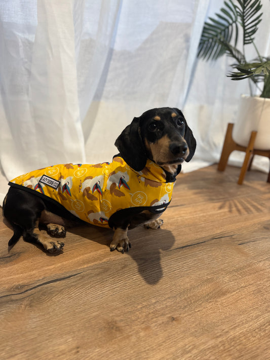 Waterproof Jackets - Snagaburra - Lazy Doxie Co