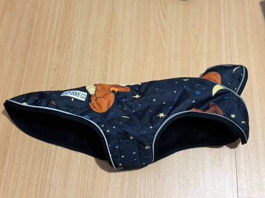 Waterproof Jacket - Dashtrology - Lazy Doxie Co