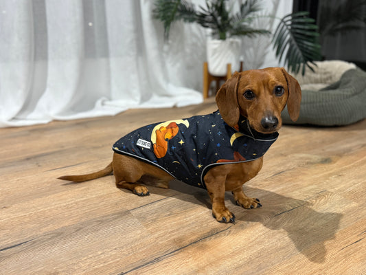 Waterproof Jacket - Dashtrology - Lazy Doxie Co