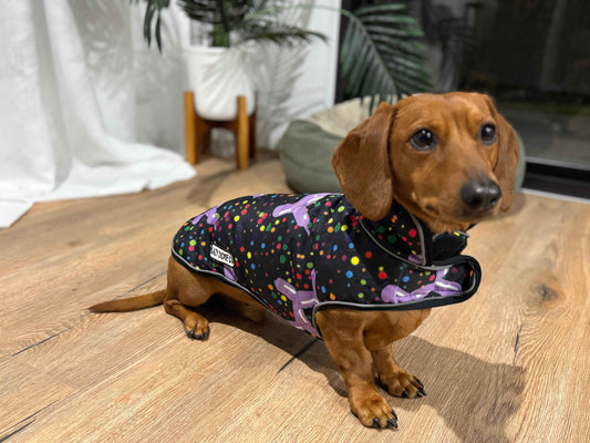 Waterproof Jacket - Let's Pawty