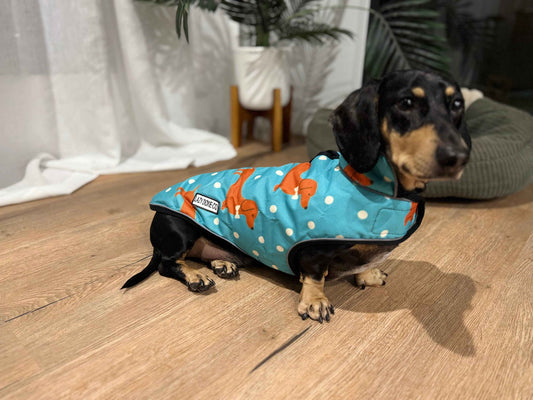 Waterproof Jacket - Tuxie Doxie