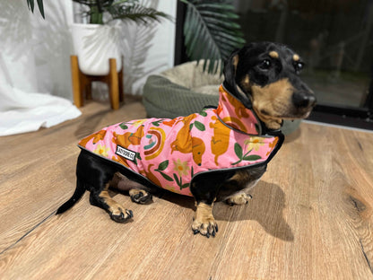 Waterproof Jacket - Pawdise Garden