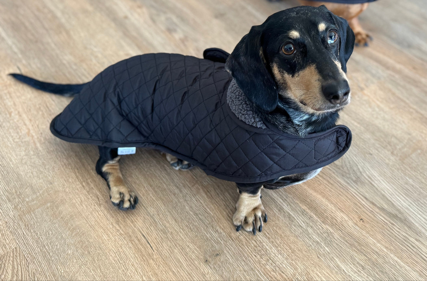 Lazy Luxe Quilted Coat