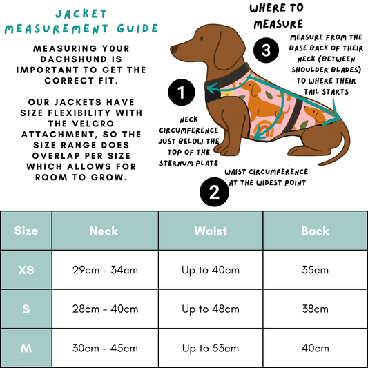 Winter Walkies Harness Bundle - Dashtrology