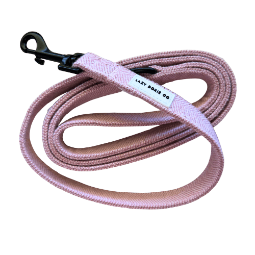 Printed Leashes - Lazy Doxie Co