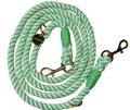 Mulit-Functional Rope Leash - Mint to Adventure