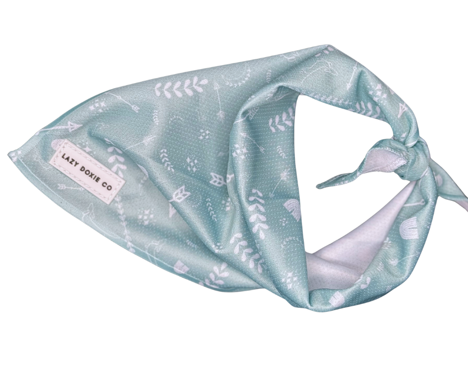 Bandana - Mint to Adventure