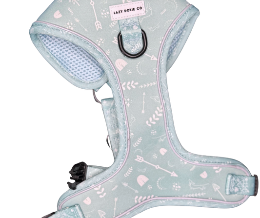 Harness - Mint to Adventure