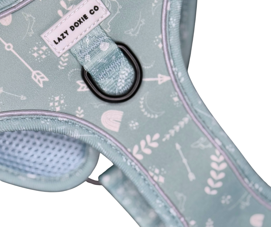 Harness - Mint to Adventure