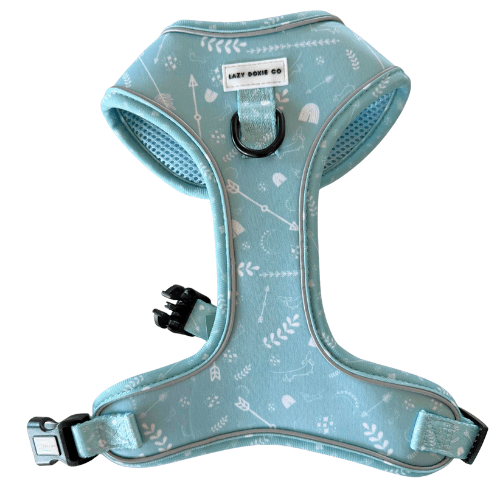 Snag + Go Bundle - Harness Bundle - Lazy Doxie Co