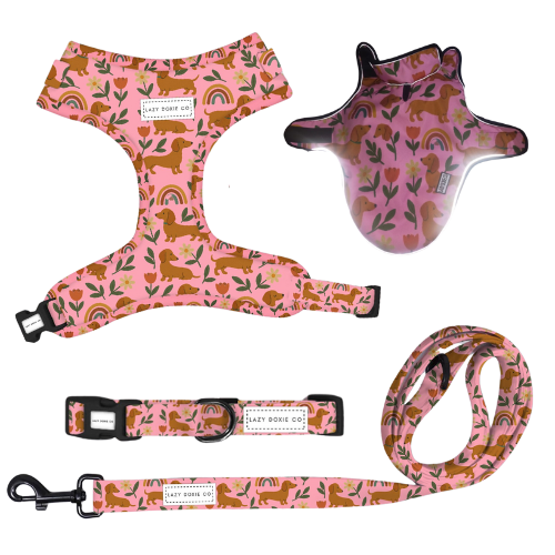 Winter Walkies Bundle - Pawdise Garden