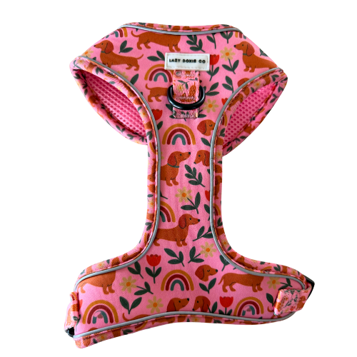 Snag + Go Bundle - Harness Bundle - Lazy Doxie Co