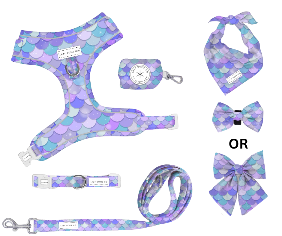 Daily Doxie Bundle - 'Pawmaid Dreams'