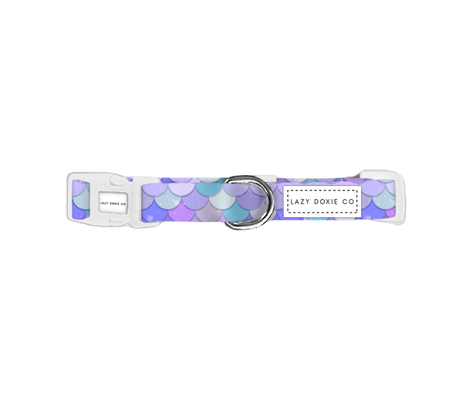 Dachshund Collar - 'Pawmaid Dreams'