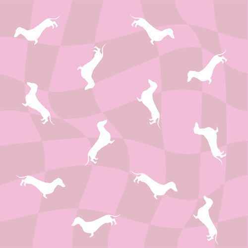 Snag + Go Bundle - Pinky Pupwalk