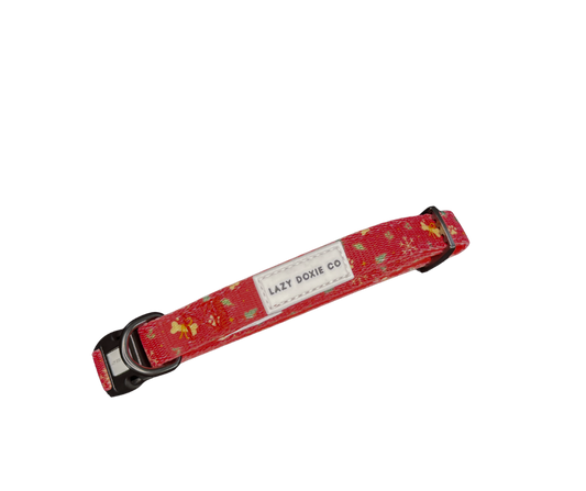 Collar - Santa's Little Gift