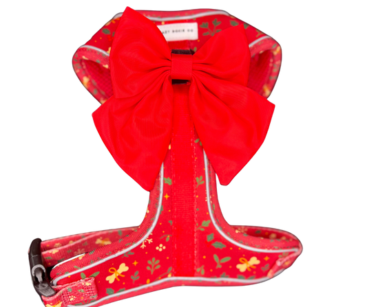 Harness - Santa's Little Gift