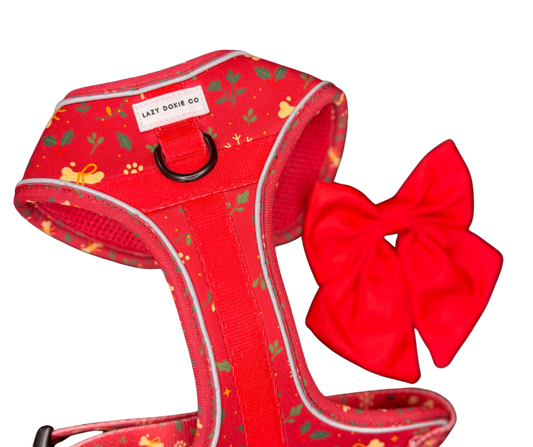 Harness - Santa's Little Gift