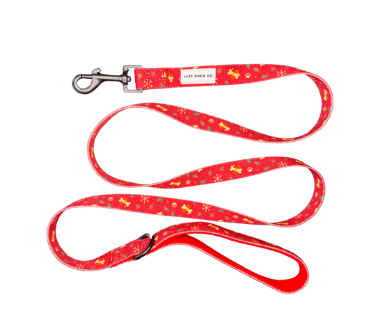 Leash - Santa's Little Gift