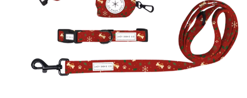 Leash - Santa's Little Gift