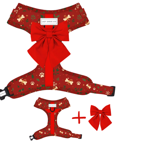 Harness - Santa's Little Gift