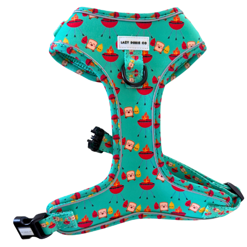 Snag + Go Bundle - Harness Bundle - Lazy Doxie Co