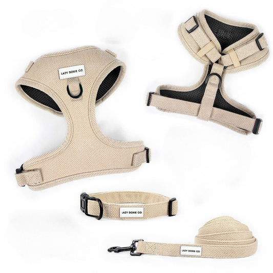 Snag + Go Bundle - Bark de Le Taco - Lazy Doxie Co