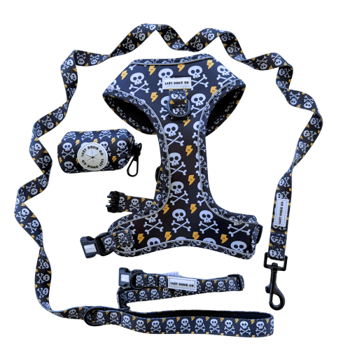 Snag + Go Bundle - Harness Bundle - Lazy Doxie Co