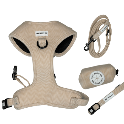 Snag + Go Bundle - Harness Bundle - Lazy Doxie Co