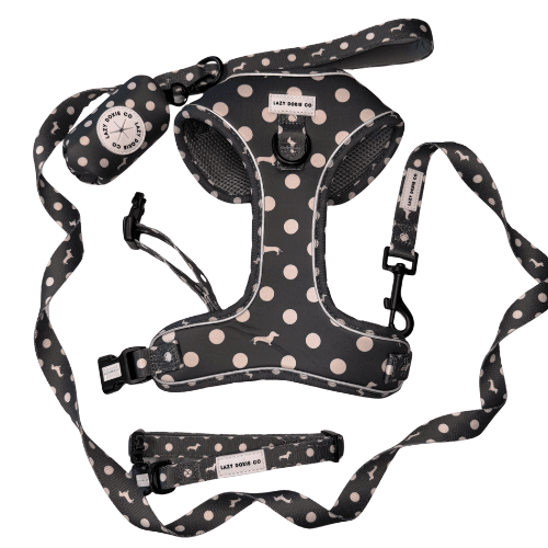 Snag + Go Bundle - Harness Bundle - Lazy Doxie Co